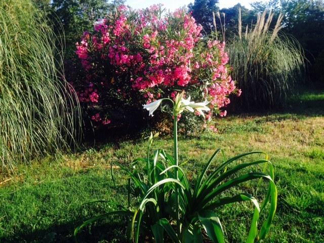 La Bastide De L'Issole Διαμέρισμα Besse-sur-Issole Δωμάτιο φωτογραφία
