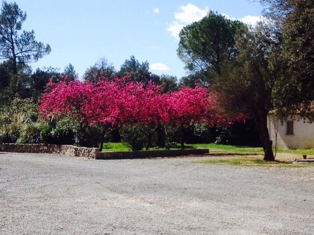 La Bastide De L'Issole Διαμέρισμα Besse-sur-Issole Εξωτερικό φωτογραφία